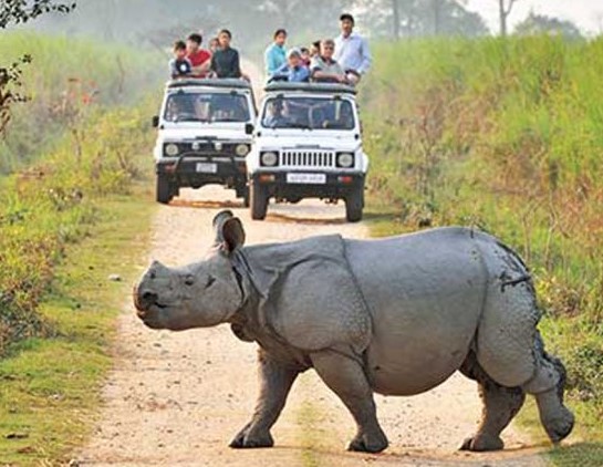 Kaziranga-National-Park